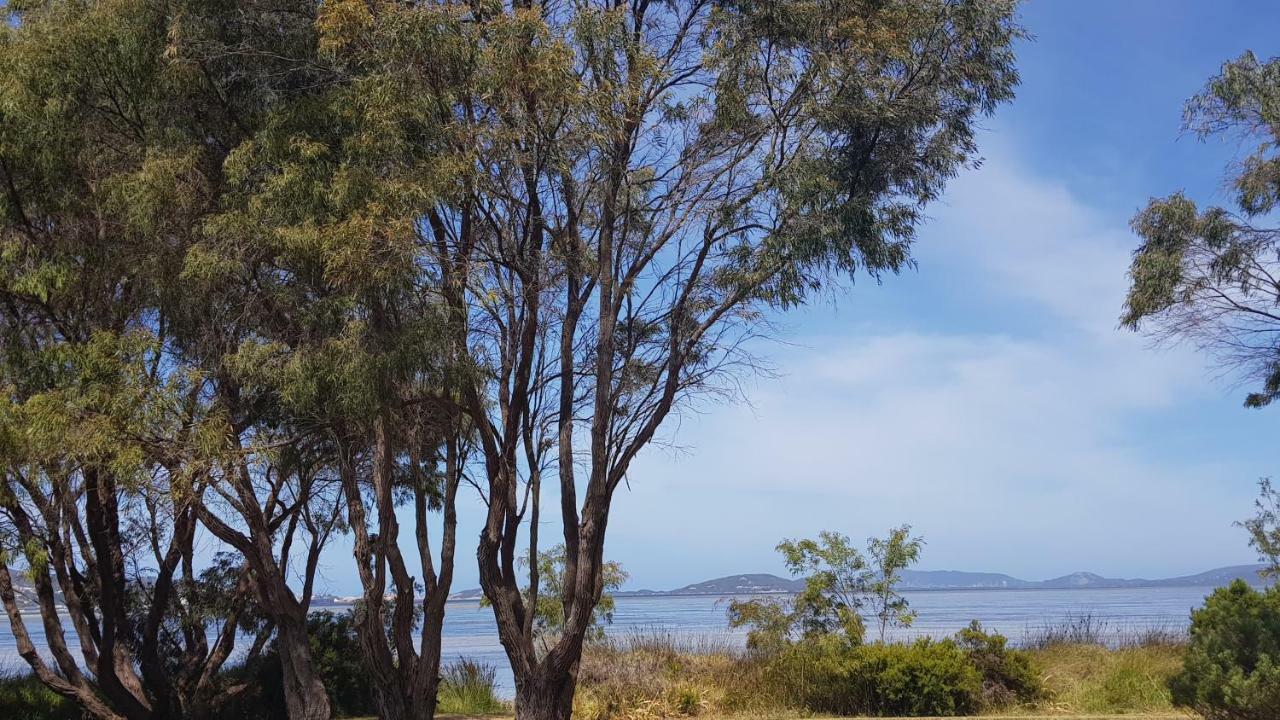 Lilacs Waterfront Villas & Cottages アルバニー エクステリア 写真