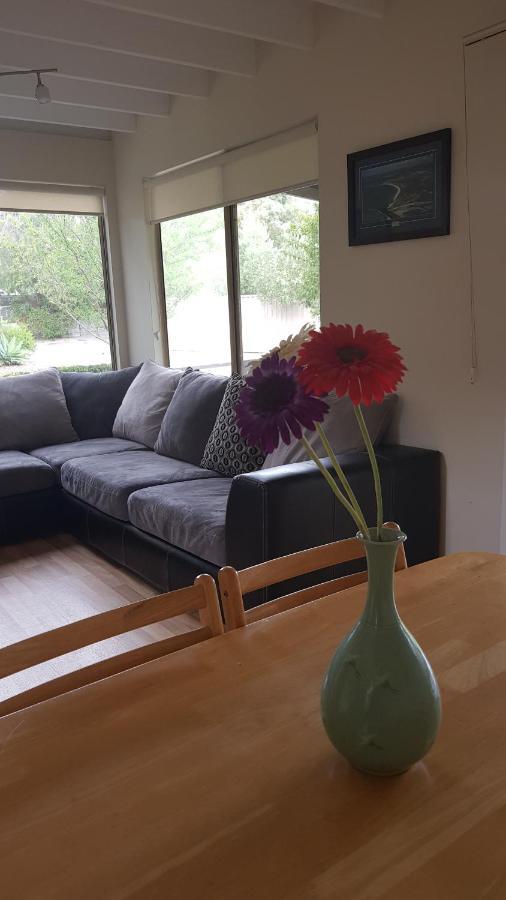 Lilacs Waterfront Villas & Cottages アルバニー エクステリア 写真
